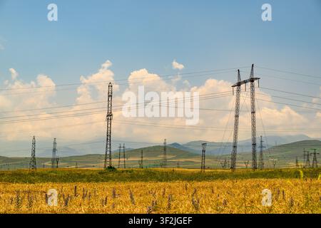 Les lignes électriques s'étendent sur un champ doré sous un ciel bleu. Les grands poteaux portent des câbles au-dessus de collines ondulantes. Des nuages flottent au-dessus des montagnes lointaines Banque D'Images