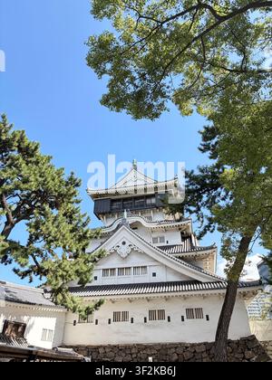 9 octobre 2025, Kitakyushu, Japon – Vue dramatique en contre-plongée du toit en terrasses de la pagode du château de Kokura encadré par des pins japonais et des arbres verts sous un ciel bleu clair. Banque D'Images