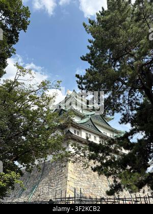 5 août 2025, Nagoya, Japon – Vue dramatique en contre-plongée du donjon au toit vert emblématique du château de Nagoya s'élevant à travers les pins, avec les murs de pierre et les échafaudages de rénovation visibles. Banque D'Images