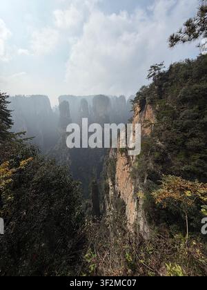 Piliers de grès imposants émergeant de la brume parmi une végétation luxuriante à Luoguta, parc national forestier de Zhangjiajie, Hunan, Chine. Banque D'Images