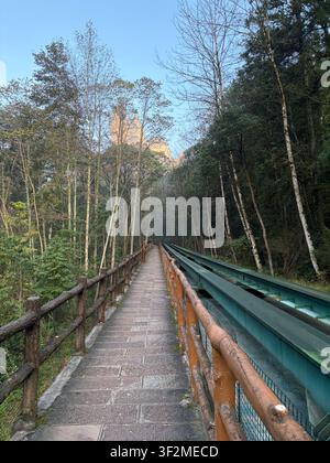 Passage surélevée en bois avec rampe en bambou traversant une forêt dense à Wulingyuan, Zhangjiajie, Chine, avec un pilier de grès visible en arrière-plan. Banque D'Images