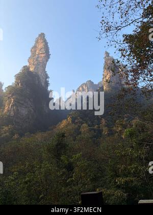 5 novembre 2025, Wulingyuan, Zhangjiajie, Chine – Des piliers de grès imposants émergent de la brume matinale au milieu d'une forêt d'automne dans le parc national classé au patrimoine mondial de l'UNESCO de Zhangjiajie. Banque D'Images