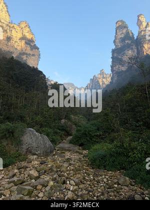 5 novembre 2025, Wulingyuan, Zhangjiajie, Chine – Piliers de grès dorés émergeant de la brume forestière le long d'un sentier rocheux, site du patrimoine mondial de l'UNESCO. Banque D'Images