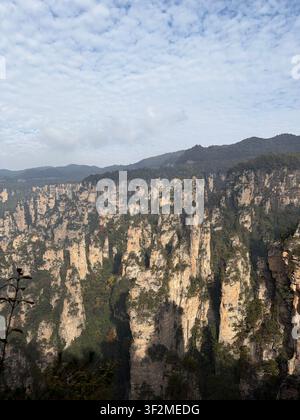 5 novembre 2025, Wulingyuan, Zhangjiajie, Chine – D’imposantes piliers de grès quartzite recouverts de pins s’élèvent de façon spectaculaire sous un ciel nuageux dans le parc national forestier de Zhangjiajie. Banque D'Images