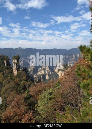 5 novembre 2025, Wulingyuan, Zhangjiajie, Chine – Les imposants piliers de grès de la zone panoramique de Wulingyuan s'élèvent au-dessus de la forêt d'automne sous un ciel bleu parsemé de nuages. Banque D'Images