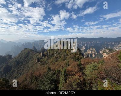 5 novembre 2025, Wulingyuan, Zhangjiajie, Chine – Des formations dramatiques de piliers de grès recouverts de forêt d'automne s'élèvent au-dessus des vallées brumeuses sous un ciel bleu parsemé de nuages. Banque D'Images