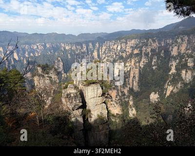 5 novembre 2025, Wulingyuan, Zhangjiajie, Chine – Piliers imposants en grès quartzique avec des pins dans la zone pittoresque de Wulingyuan, site du patrimoine mondial de l'UNESCO, province de Hunan. Banque D'Images