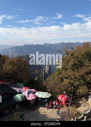 5 novembre 2025, Wulingyuan, Zhangjiajie, Chine – Zone de repos pour touristes avec des parasols de marque surplombant le paysage spectaculaire de piliers de grès du parc national forestier de Zhangjiajie, Hunan. Banque D'Images