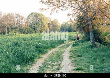 Une femme promène son chien le long d'un chemin de campagne sinueux à travers des champs et des arbres verts au printemps, baignés d'une lumière chaude de fin d'après-midi qui dégage la paix et la liberté Banque D'Images