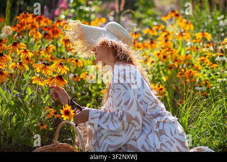 Femme cueillant des fleurs de rudbeckia à l'aide d'un panier tissé à la main et d'une sécateur dans un jardin en été. Jardinière élégante portant un chapeau de paille Banque D'Images