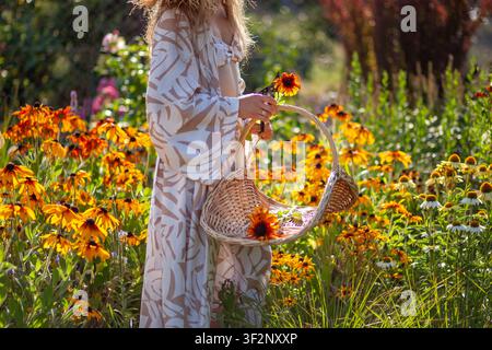 Femme cueillant des fleurs de rudbeckia avec un panier de cueillette et une sécateur dans un jardin en été Banque D'Images