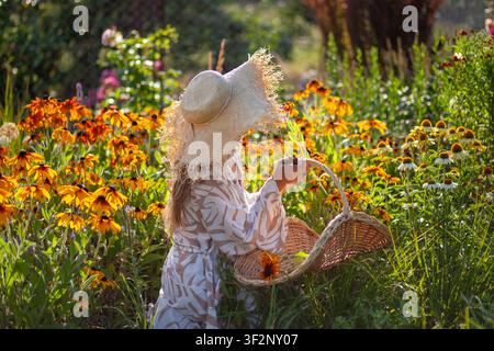 Femme cueillant des fleurs de rudbeckia à l'aide d'un panier tissé à la main et d'une sécateur dans un jardin en été. Jardinière élégante portant un chapeau de paille Banque D'Images