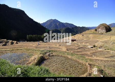 Champs de riz en terrasses de Maruyama à Kumano, Mie, Japon Banque D'Images