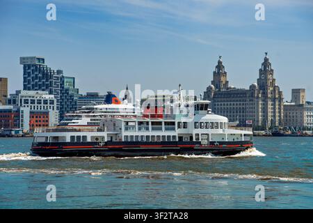 Le nouveau ferry de la rivière Mersey nommé Royal Daffodil passe devant le front de mer de Liverpool et le bâtiment Royal Liver lors des essais avant de commencer les services Banque D'Images