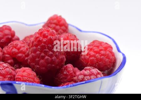 Framboises fraîches et mûres dans un bol en verre sur fond blanc, gros plan Banque D'Images