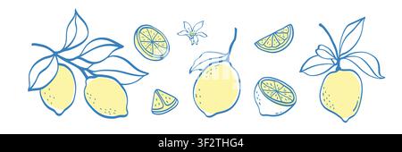 Ensemble citron dessiné à la main. Illustrations vintage doodle avec fruits entiers, morceaux tranchés, feuillage, fleur. Illustration de Vecteur