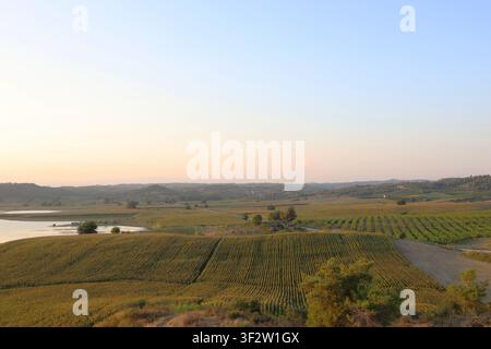 Vue panoramique à angle élevé des champs agricoles et des collines à côté d'un lac calme sous un ciel doux au coucher du soleil. Banque D'Images