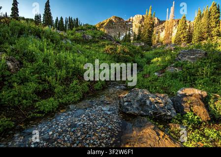 Le magnifique bassin d'Albion près de la station de ski de Snowbird, à l'est de Salt Lake City, Utah, États-Unis. Banque D'Images