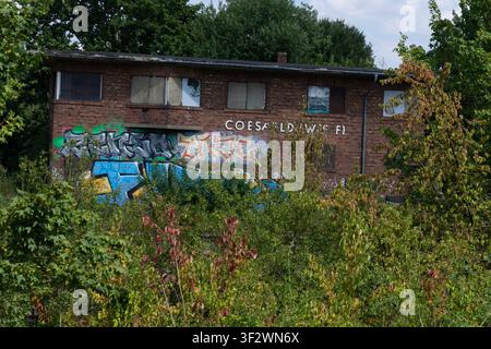 Bâtiment en briques abandonné couvert de graffitis de rue colorés et caché derrière des buissons verts sauvages à Coesfeld, en Allemagne Banque D'Images