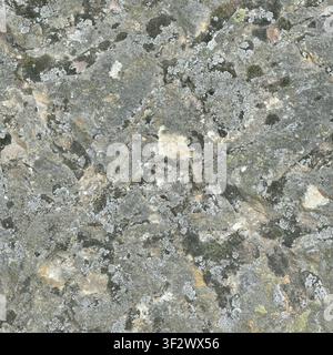 gros plan d'une surface rocheuse grise et érodée couverte de taches de mousse verte et de lichen blanc. Banque D'Images