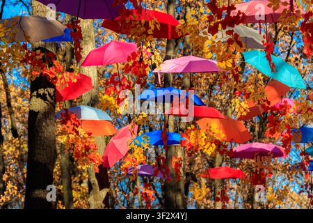 Parapluies multicolores dans le parc en automne. Des parapluies colorés suspendus parmi les arbres en automne Banque D'Images