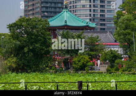 Niché dans le parc Ueno, l'étang paisible de Shinobazu offre une évasion tranquille au cœur de l'agitation urbaine de Tokyo. Une pagode historique se dresse de manière proéminente a Banque D'Images