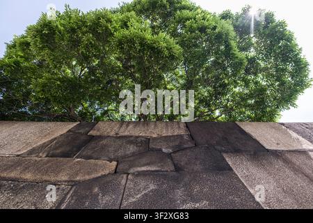 Les East National Gardens du Palais impérial offrent une évasion sereine au milieu de la ville animée de Tokyo. Cette image met en valeur un mur de pierre traditionnel et Banque D'Images