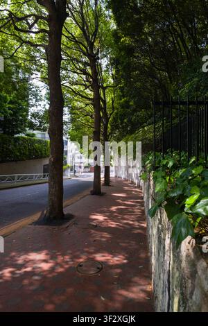 Cette vue d'une rue de la ville de Meguro met en valeur le mélange harmonieux de la vie urbaine avec des éléments naturels. Des rangées d'arbres matures bordent le trottoir en briques Banque D'Images