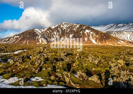 Un champ de lave volcanique ancien entièrement recouvert de mousse verte douce s'étend au premier plan. À l'arrière-plan, une majestueuse chaîne de montagnes striée Banque D'Images