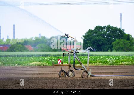 Chariot d'irrigation arrosant un champ de cultures agricoles avec un arroseur à canon à eau, système d'irrigation mobile sur des terres agricoles fraîchement semées près de poteaux de lignes électriques a Banque D'Images