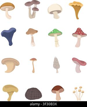 ensemble d'illustrations de champignons variés isolés Illustration de Vecteur