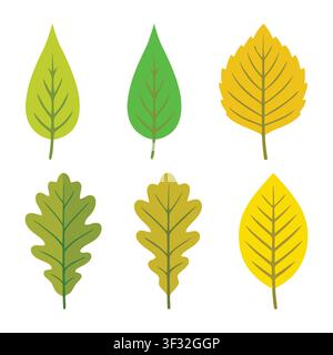 Illustration vectorielle stylisée et lumineuse de six feuilles d'automne différentes aux couleurs vives, parfaite pour les designs et projets saisonniers. Illustration de Vecteur