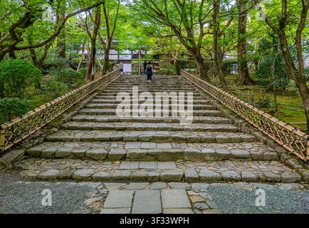 Escaliers sur le sentier de randonnée autour des jardins du temple zen de Ryoanji à Kyoto Banque D'Images