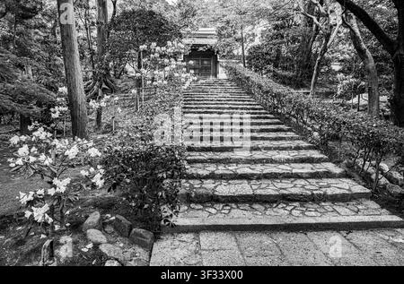 Escaliers sur le sentier de randonnée autour des jardins du temple zen de Ryoanji à Kyoto Banque D'Images