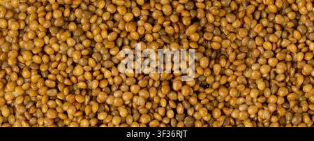 Fond texturé de lentilles cuites en gros plan, motif de lentilles vertes bouillies. Petit ragoût de haricots bruns, photo macro de légumineuses en conserve Banque D'Images
