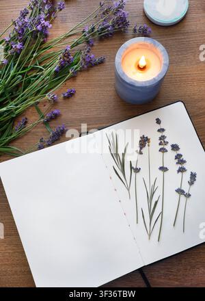 Photo plateau d'herborisation de lavande. Cahier ouvert contenant des fleurs séchées sur fond en bois. Espace de travail confortable processus créatif avec bougie allumée et Banque D'Images