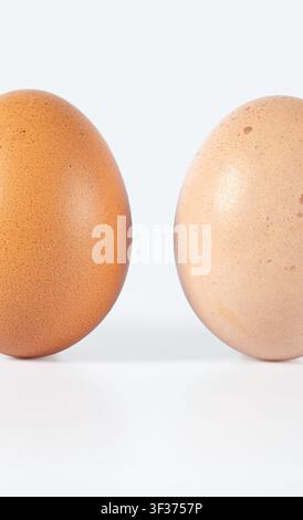 Œufs de poule bruns et brun clair affichés côte à côte sur un fond blanc, mettant en évidence les différences naturelles de couleur de la coquille. Banque D'Images