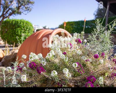 Présentation décorative de jardin mettant en vedette un pot en terre cuite renversé avec des fleurs d'alysse douce blanches et violettes débordantes (Lobularia maritima) Banque D'Images