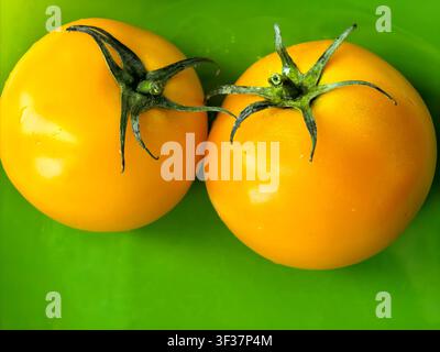 Deux tomates jaunes mûres sur une assiette verte vif. Légumes biologiques frais à la peau brillante photographiés dans une composition minimale simple. Banque D'Images