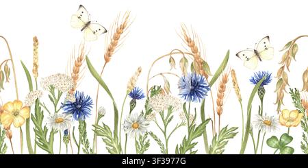 Illustration aquarellée peinte à la main : bordure horizontale sans couture de boutons d'or, bleuets, marguerites, achillée, épis de seigle et d'avoine avec des papillons. Pour Banque D'Images