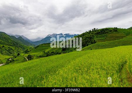 Plan panoramique étendu sur les rizières en terrasses vertes s'étendant sur des collines ondulantes vers les sommets majestueux et enveloppés de nuages des montagnes à Sapa, Lao Cai Banque D'Images