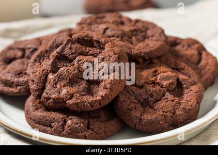 Cookies maison aux pépites de double chocolat avec lait entier pour le dessert Banque D'Images