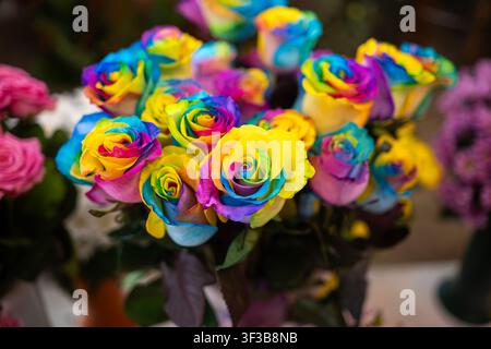 Un plan rapproché éclatant d'un arrangement floral mettant en vedette des roses teintes arc-en-ciel uniques avec des pétales multicolores, présentant un jaune vif, un bleu, un rose et Banque D'Images
