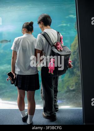 Vue arrière d'un couple d'adolescents du lycée tenant les bras et regardant des poissons devant un immense bac à poissons Banque D'Images