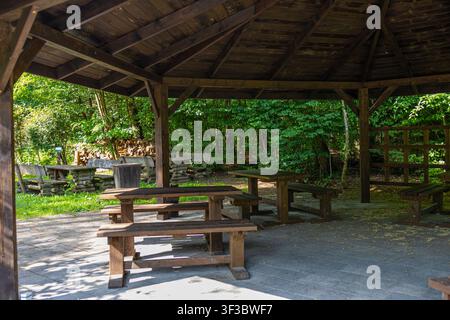Pavillon de pique-nique en bois en plein air avec des tables et des bancs rustiques nichés parmi des arbres verdoyants dans une zone de loisirs forestière paisible en été Banque D'Images