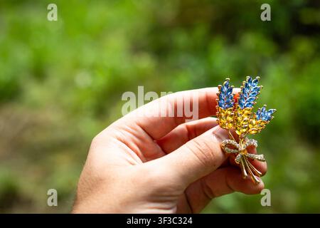 Main tenant un broche en blé étincelante bleue et jaune avec un petit nœud devant un fond flou vert doux. Une vue détaillée rapprochée montre des cristaux et en Banque D'Images