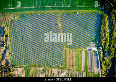 Vue aérienne de dessus d'une grande ferme solaire intégrée à des terres agricoles, des rangées de panneaux photovoltaïques générant une énergie renouvelable propre dans le paysage agricole Banque D'Images