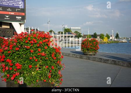 Amsterdam, Pays-Bas. 22 juin 2014, boulevard riverain d'Amsterdam avec des géraniums rouges et vue sur la rivière IJ Banque D'Images
