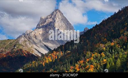 Sommet (Tête de Vachères) et forêt du massif de Dévoluy, Alpes françaises. Vue aérienne automnale dans la vallée de La Jarjatte, parc du Vercors, Drôme, France Banque D'Images