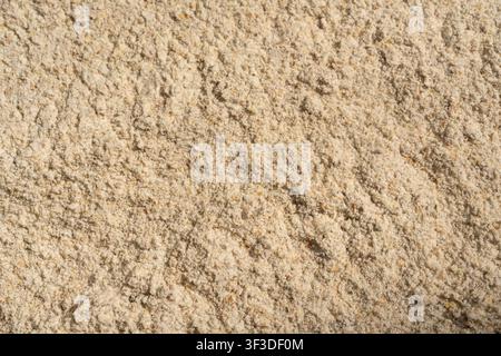 Fond texturé en poudre de farine de blé, motif de poussière de grains d’épeautre. Papier peint en farine de seigle complète avec espace libre, poudre de protéines de collagène, pain complet Banque D'Images